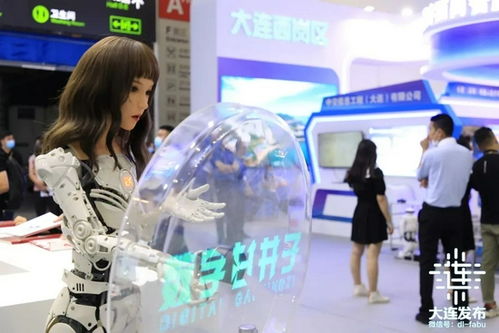 國家級盛會啟幕大連，擘畫應(yīng)用軟件服務(wù)新藍(lán)圖